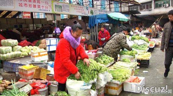 蒜苗价格行情最新分析