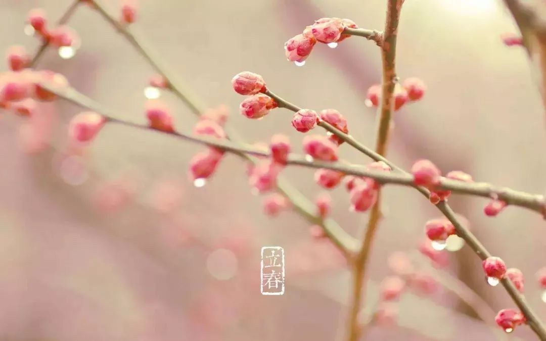 春暖花开时，生命的美好循环与希望的绽放之旅