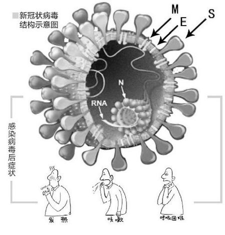 全球抗击新冠疫情的新进展与挑战，新冠病毒最新消息综述