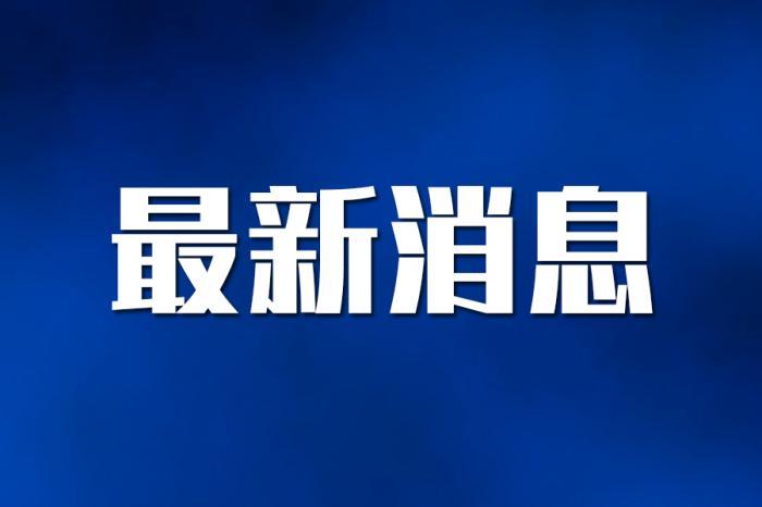 社会热点事件深度剖析与反思，最新新闻时评速递