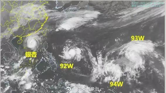 厦门台风最新动态及防御应对措施