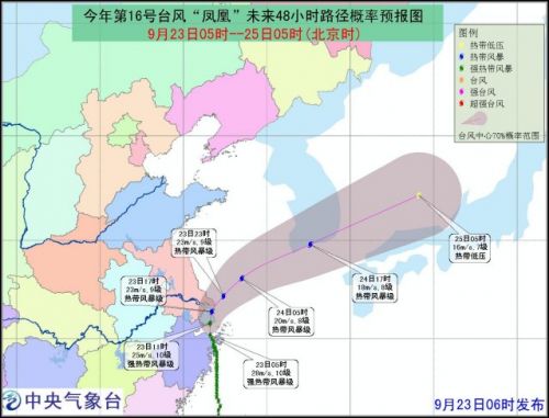 上海台风最新动态与影响分析