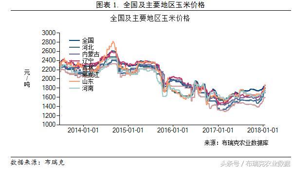 今日玉米价格行情分析，最新动态与趋势展望